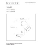 Outdoor lights with motion sensor - Lucide TAYLOR Wall-mounted Directional White 1xGU10 IP54 Motion and Dusk Sensor 09831/01/31 - product 4