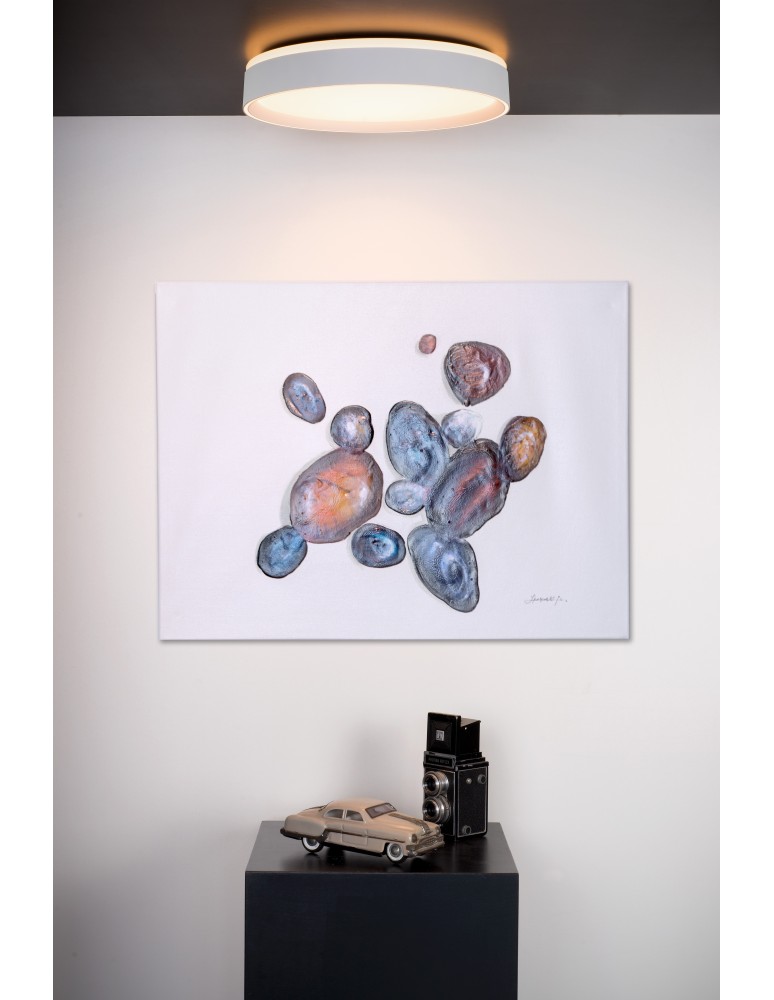 Ceiling lamps - Lucide NURIA Surface Mounted Ceiling White 1xLED Modern Style 79182/24/31 - product kolory-swiatla.pl 3