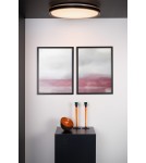 Ceiling lamps - Lucide SILAS Surface Mounted Ceiling Black 1xLED Modern Style 79183/36/65 - product 3
