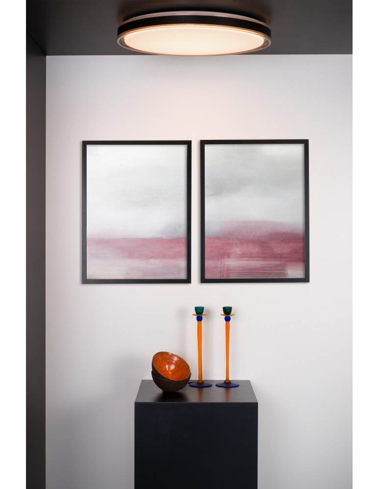 Ceiling lamps - Lucide SILAS Surface Mounted Ceiling Black 1xLED Modern Style 79183/36/65 - product kolory-swiatla.pl 3