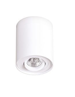 Maxlight Basic Round Ceiling Lamp White C0067