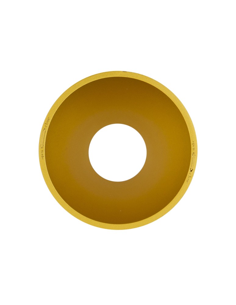 Rings - Maxlight Gold Decorative Ring for Paxo LED Recessed Fixture Gold RH0108 GOLD. - product kolory-swiatla.pl 1