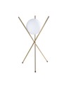Maxlight Xena Table Lamp T0044.