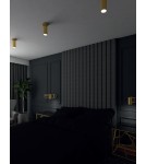 Ceiling spotlights - Maxlight Varsovia Ceiling Lamp C0146 - product 2