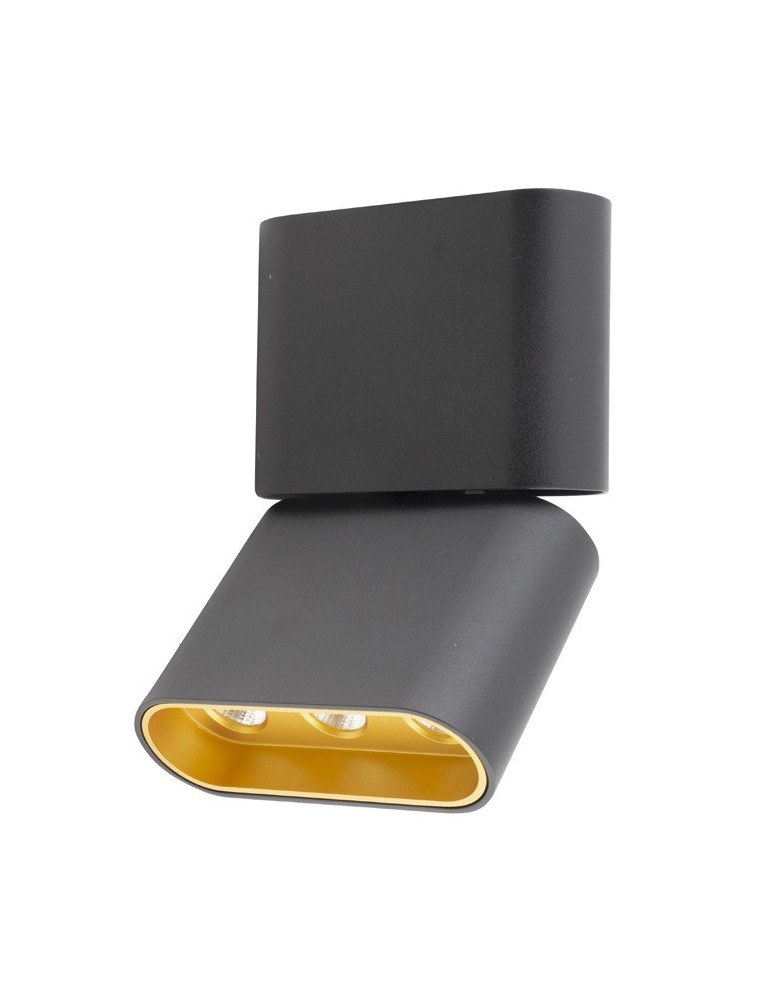 LED headlights - Maxlight Marvel Ceiling Lamp Black C0150 - product kolory-swiatla.pl 1