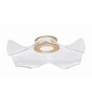 Designer ceiling lamps - Luces Exclusivas CALI LED ceiling 31W 2118lm 3000K gold LE41369. - product 1