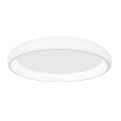 Luces Exclusivas TOLU Sufitowa LED 50W 2750lm 3000K Ściemnialna biały LE41507