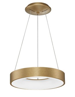 Luces Exclusivas TOME SMART Pendant LED 30W 1950lm 3000K Dimmable Brushed Gold LE41529