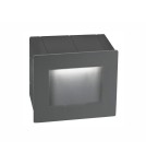 Luminaires to be built into the wall - Luces Exclusivas TARTAGAL Outdoor Wall LED 3W 270lm 3000K dark grey IP54 LE71443 - product 1