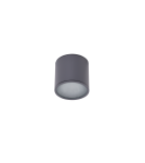 Outdoor ceiling lamps - Azzardo ALIX IP65 GR 1xES111 230V Surface Mounted Gray Hermetic IP65 AZ4057 - product 1