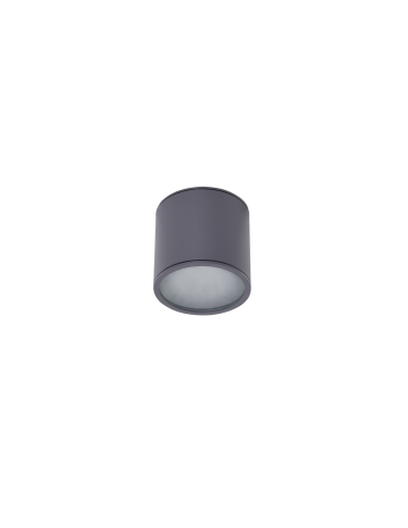 Azzardo ALIX IP65 GR 1xES111 230V Surface Mounted Gray Hermetic IP65 AZ4057