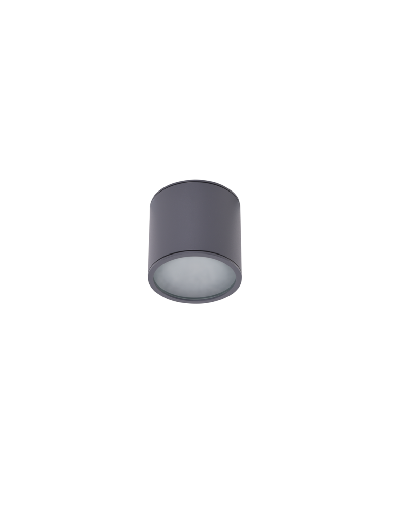Outdoor ceiling lamps - Azzardo ALIX IP65 GR 1xES111 230V Surface Mounted Gray Hermetic IP65 AZ4057 - product kolory-swiatla.pl 1