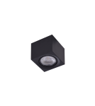 Ceiling luminaires for replaceable light source - Azzardo ECO ALEX v.2 BK 1xES111 230V Surface Mounted Black AZ4317 - product 1