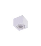 Ceiling luminaires for replaceable light source - Azzardo ECO ALEX v.2 WH 1xES111 230V Surface-mounted White AZ4318 - product 1