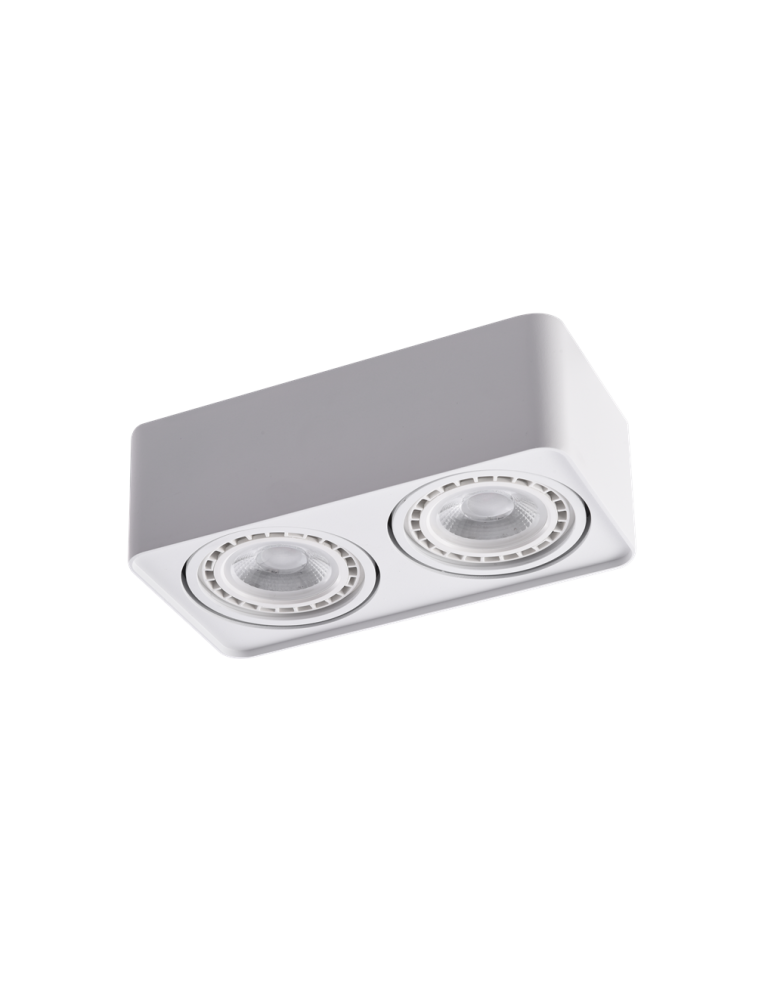 Ceiling luminaires for replaceable light source - Azzardo PAOLA 2 230V WH 2xES111 Surface-mounted Swinging White AZ4132 - product kolory-swiatla.pl 1