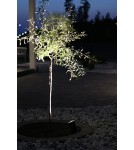 Markslojd GARDEN24 lamps - Markslojd GARDEN 24 Spot 45cm 6W Black 106932 - product 2