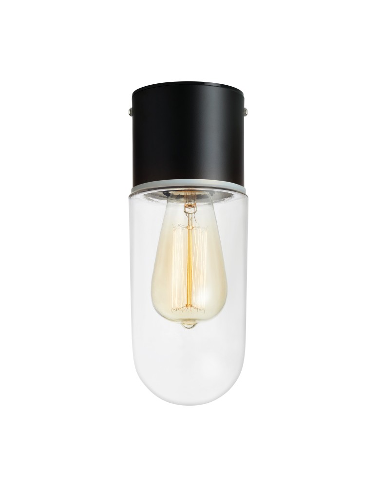 Bathroom ceiling lamps - Markslojd ZEN Ceiling 1L Black/Transparent IP44 107796 - product kolory-swiatla.pl 1