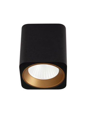 Maxlight Tub Square Ceiling Lamp Black + Gold Decorative Ring RC0155/C0156 Gold C0212.