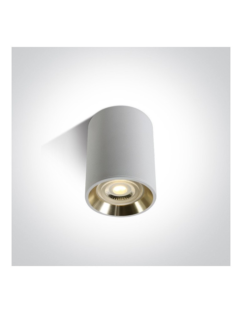 Ceiling luminaires for replaceable light source - One Light white-gold Lawrio ceiling lamp 12105AL/B/GL - product kolory-swiatla.pl 1