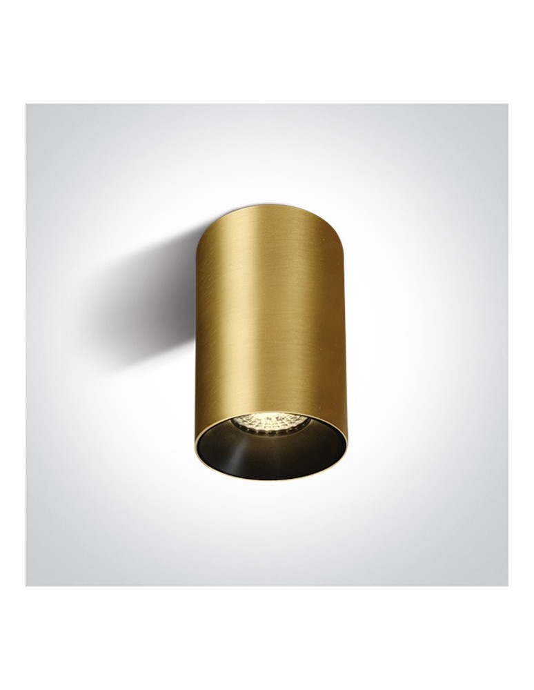 Ceiling luminaires for replaceable light source - One Light brass stylish Mistra ceiling lamp 12105M/BBS - product kolory-swiatla.pl 1