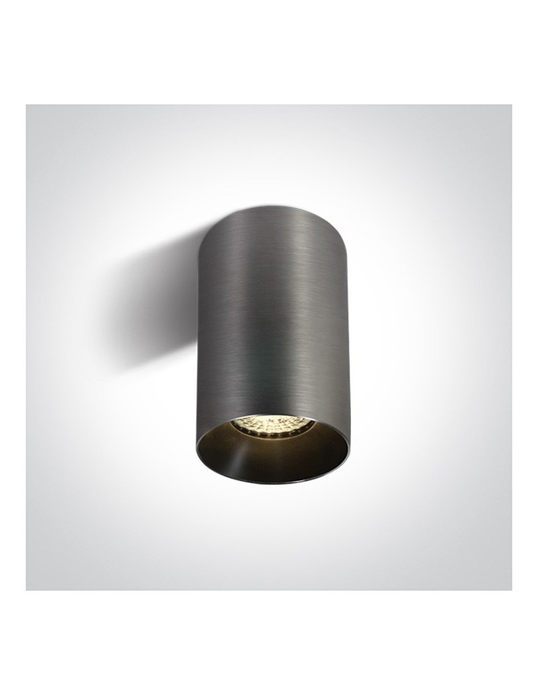 Ceiling luminaires for replaceable light source - One Light grey stylish Mistra ceiling lamp 12105M/MG - product kolory-swiatla.pl 1