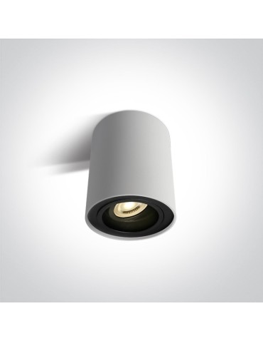 One Light living room ceiling lamp Nemea 12105Y/W.