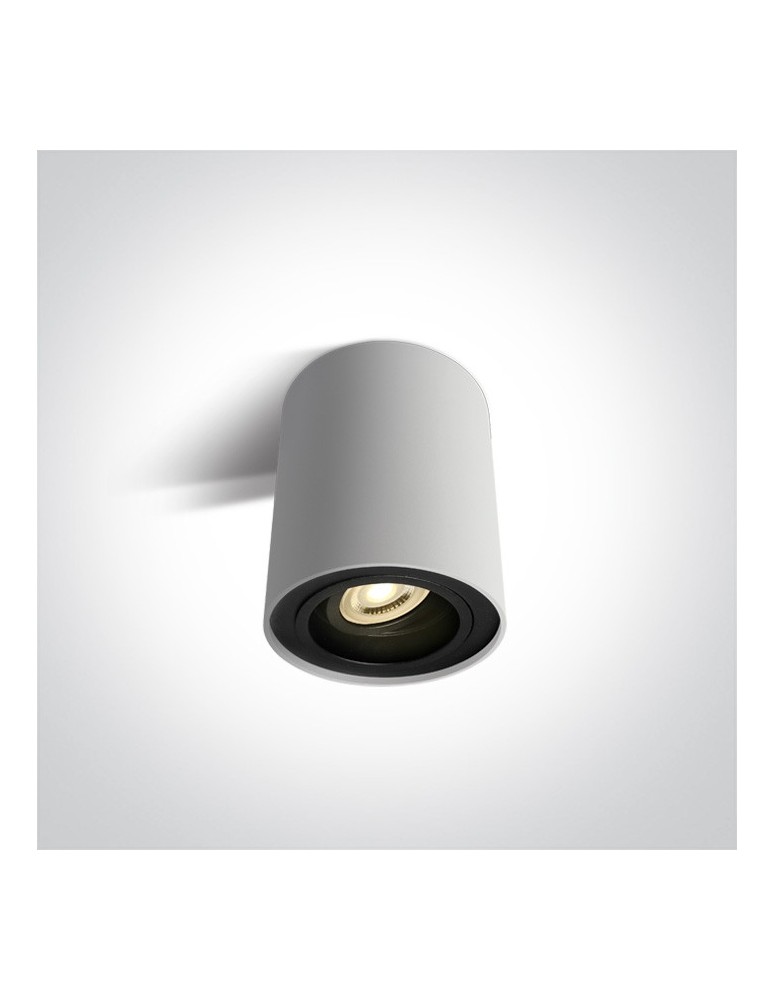 Ceiling luminaires for replaceable light source - One Light living room ceiling lamp Nemea 12105Y/W. - product kolory-swiatla.pl 1