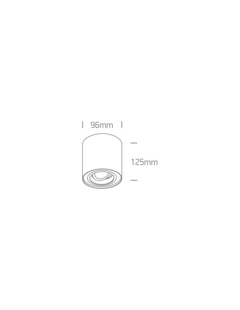 Ceiling luminaires for replaceable light source - One Light living room ceiling lamp Nemea 12105Y/W. - product kolory-swiatla.pl 2