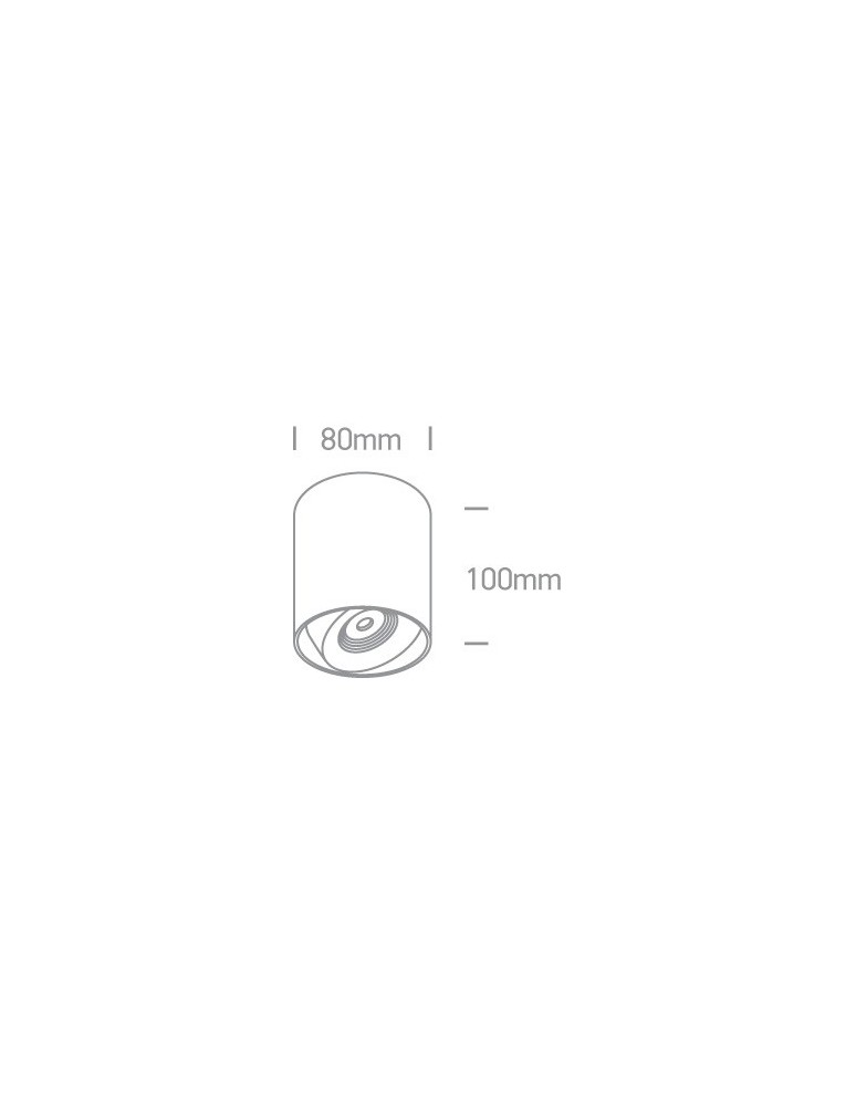 LED ceiling luminaires - One Light Pylos adjustable ceiling lamp 12108X/W/W - product kolory-swiatla.pl 2