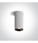 LED ceiling luminaires - One Light LED cylinder ceiling lamp Stilida 12115D/W/W. - product 1