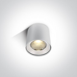 One Light Lampa sufitowa LED deweloper Tembi 12115LA/W/W