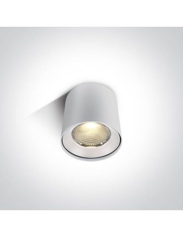 One Light LED developer ceiling lamp Tembi 12115LA/W/W.