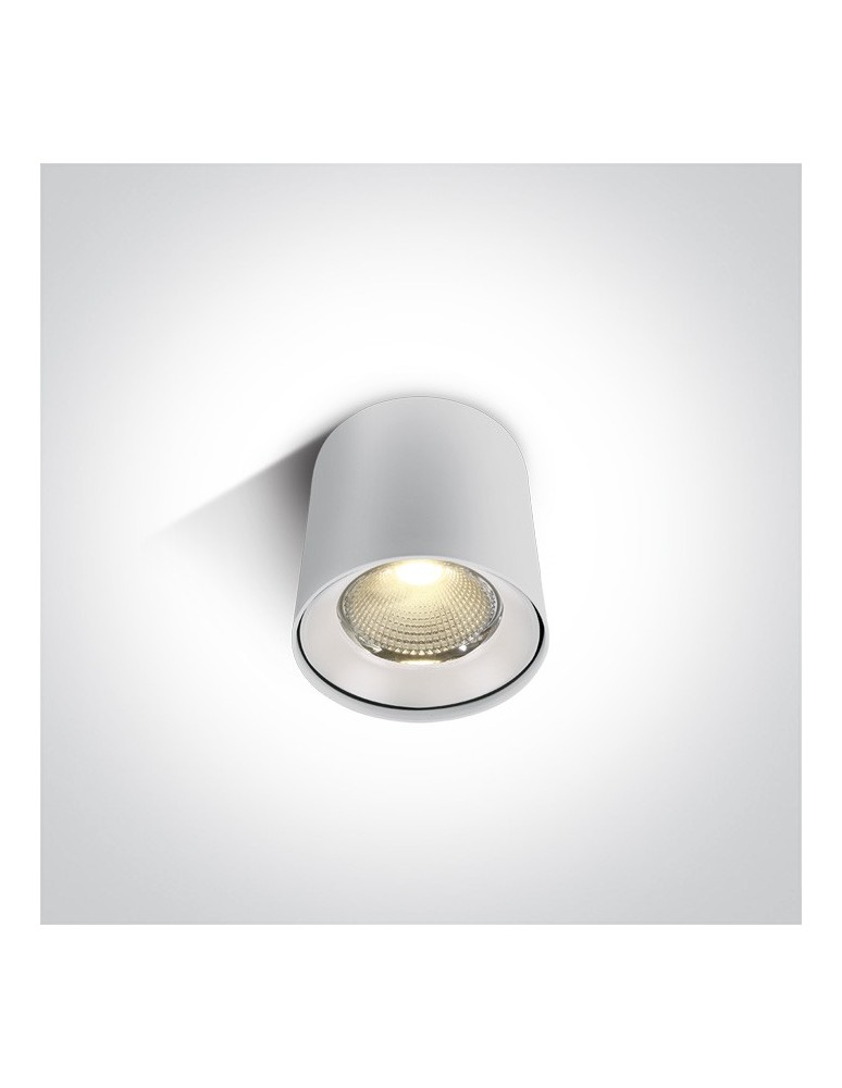 LED ceiling luminaires - One Light LED developer ceiling lamp Tembi 12115LA/W/W. - product kolory-swiatla.pl 1