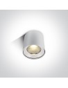 One Light LED developer ceiling lamp Tembi 12115LA/W/W.