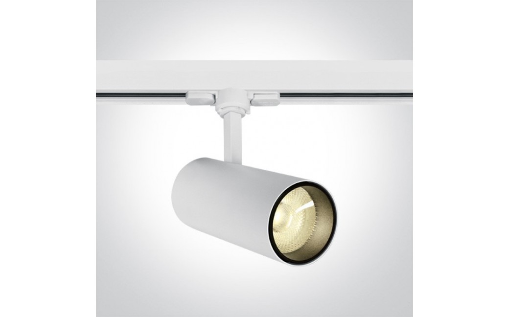 One Light reflektor LED biały na szynę 20W Skalitina 2 65642BT/W/W