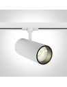 One Light reflektor biały 30W na szynę Skalitina 3 65642CT/W/C