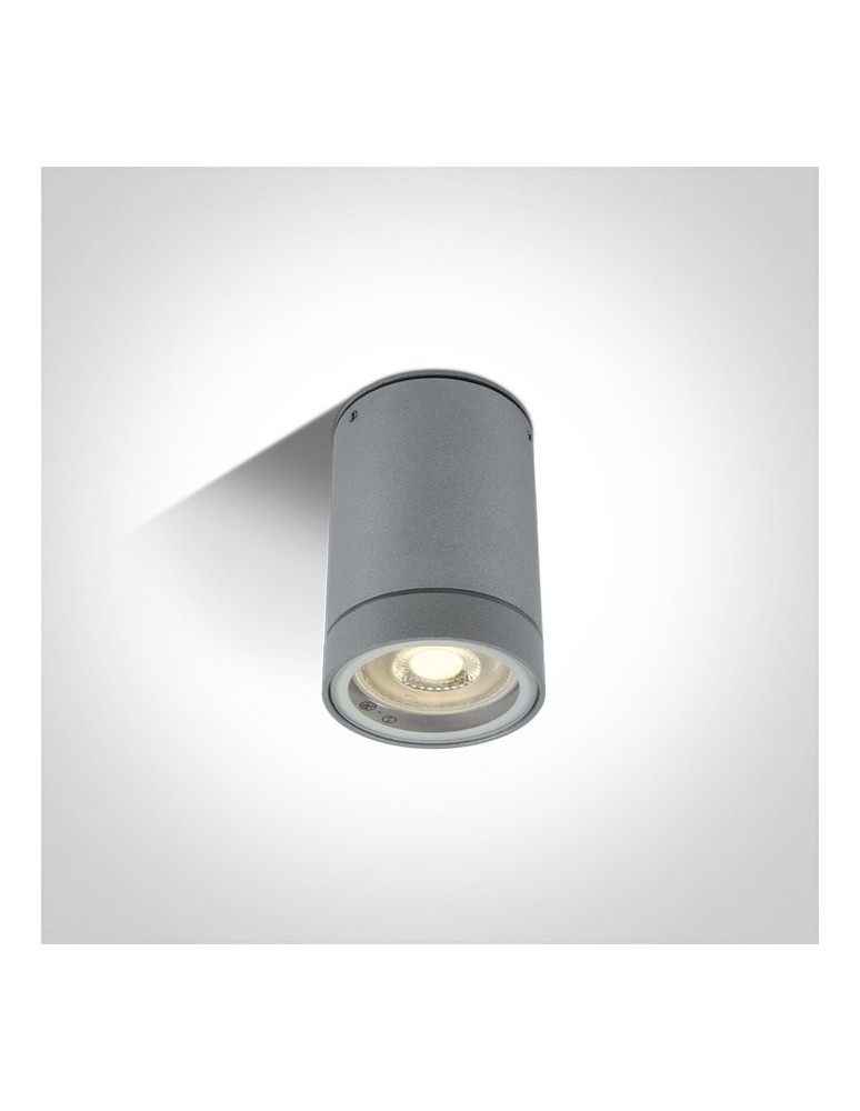 Outdoor ceiling lamps - One Light grey Lido ceiling lamp 67130C/G IP54 - product kolory-swiatla.pl 1