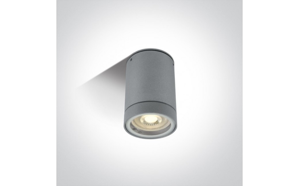One Light lampa sufitowa szara Lido 67130C/G IP54