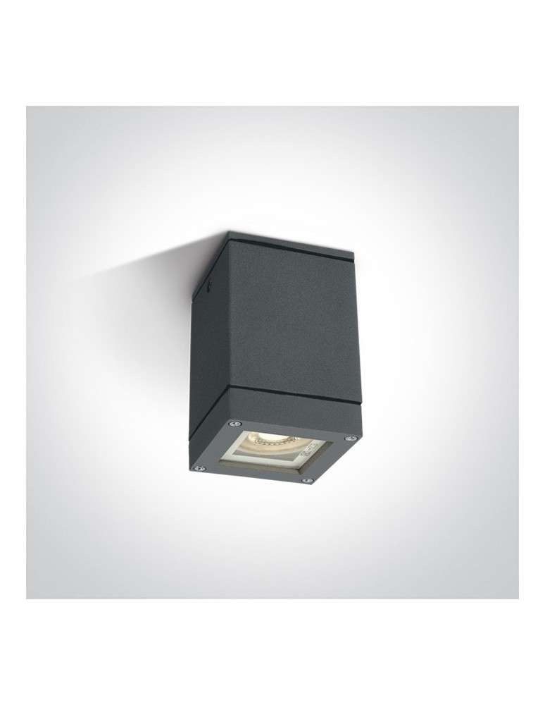 Outdoor ceiling lamps - One Light cube ceiling lamp Avoros S 67130D/AN IP54 - product kolory-swiatla.pl 1