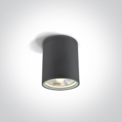 One Light lampa sufitowa 75W Stromi S 67132C/AN IP54