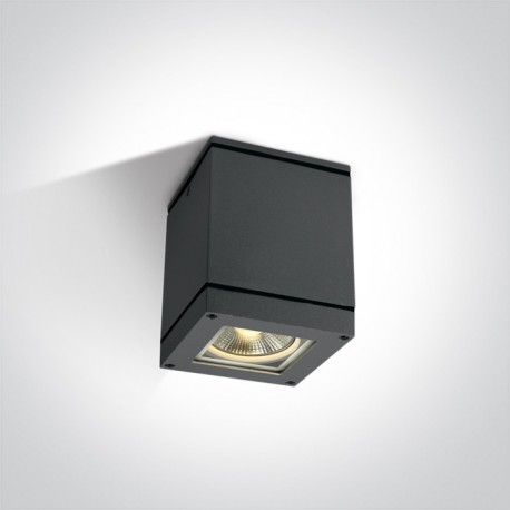 One Light kinkiet sufit ściana Lilea 67132D/AN IP54