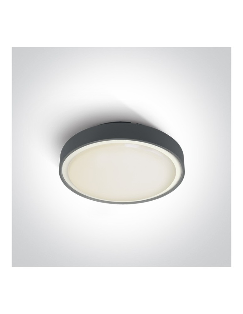 Outdoor ceiling lamps - One Light outdoor plafond anthracite 26cm Rafti 67280E/AN IP65 - product kolory-swiatla.pl 1
