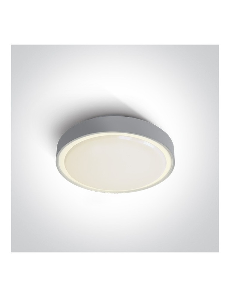 Outdoor ceiling lamps - One Light outdoor plafond gray 26cm Rafti 67280E/AN IP65 - product kolory-swiatla.pl 1