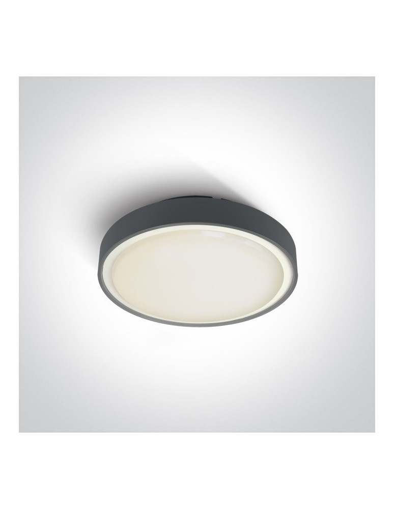 Outdoor ceiling lamps - One Light garden mounting plafond 26 cm Poka 67280N/AN/W IP65 - product kolory-swiatla.pl 1