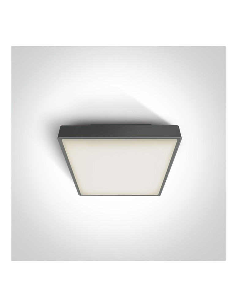 Outdoor ceiling lamps - One Light outdoor square plafond 22x22cm Miladeza 67282E/AN IP65 - product kolory-swiatla.pl 1