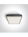 One Light outdoor square plafond 22x22cm Miladeza 67282E/AN IP65
