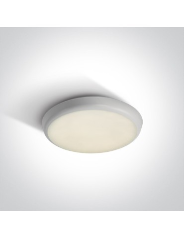 One Light white LED plafond 25 cm outdoor indoor Livisi 67366/W/C IP54