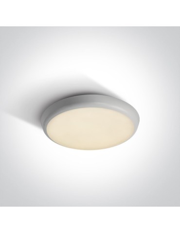 One Light white LED plafond 25 cm outdoor indoor Livisi 67366/W/W IP54