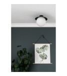 Ceiling lamps - UMMO KUUL C black ceiling / plafond lamp KLC12000 - product 2