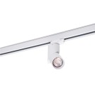 Lamps for 3-phase busbars - Azzardo SANTOS TRACK 3 LINE 1xGU10 White Spotlight For Busbar 3F AZ4202 - product 1